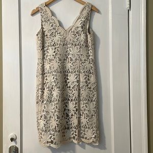 Ann Taylor dress